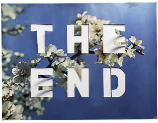 A photo-offset poster depicting text overlaying white flowers.
