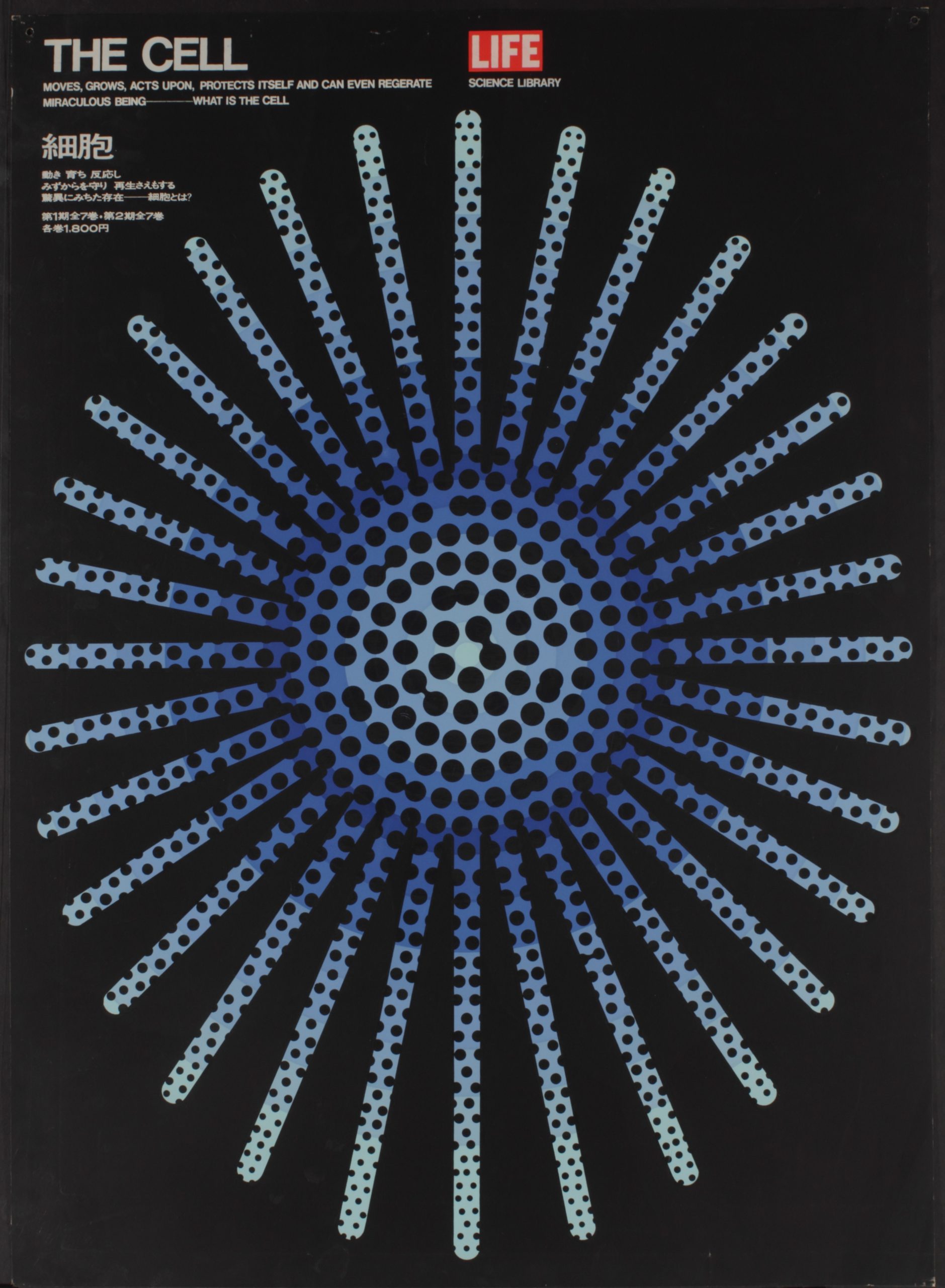A photo offset poster of a blue sun shape with long rays filled with many holes.